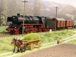 Faszination Modellbau Internationale Leitmesse für Modellbahnen und Modellbau IMA 2022 Spur 1 Spur 1 Team Hasselt 01 uai