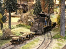 Faszination Modellbau Internationale Leitmesse für Modellbahnen und Modellbau IMA 2022 Spur 2m WSL Co Logging Railway 01 scaled uai