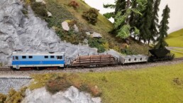 Faszination Modellbau Internationale Leitmesse für Modellbahnen und Modellbau FN2023 Spur H0e Modellbahn Freunde Oberland 01 scaled uai