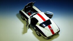 Faszination Modellbau Internationale Leitmesse für Modellbahnen und Modellbau Plastikmodellbau 2023 C2 Dana Racing 2 scaled uai