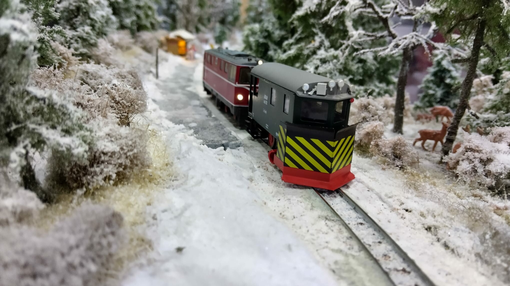 Faszination Modellbau Internationale Leitmesse für Modellbahnen und Modellbau FN2025 Spur N Modellbahn soll Spass machen 01 uai