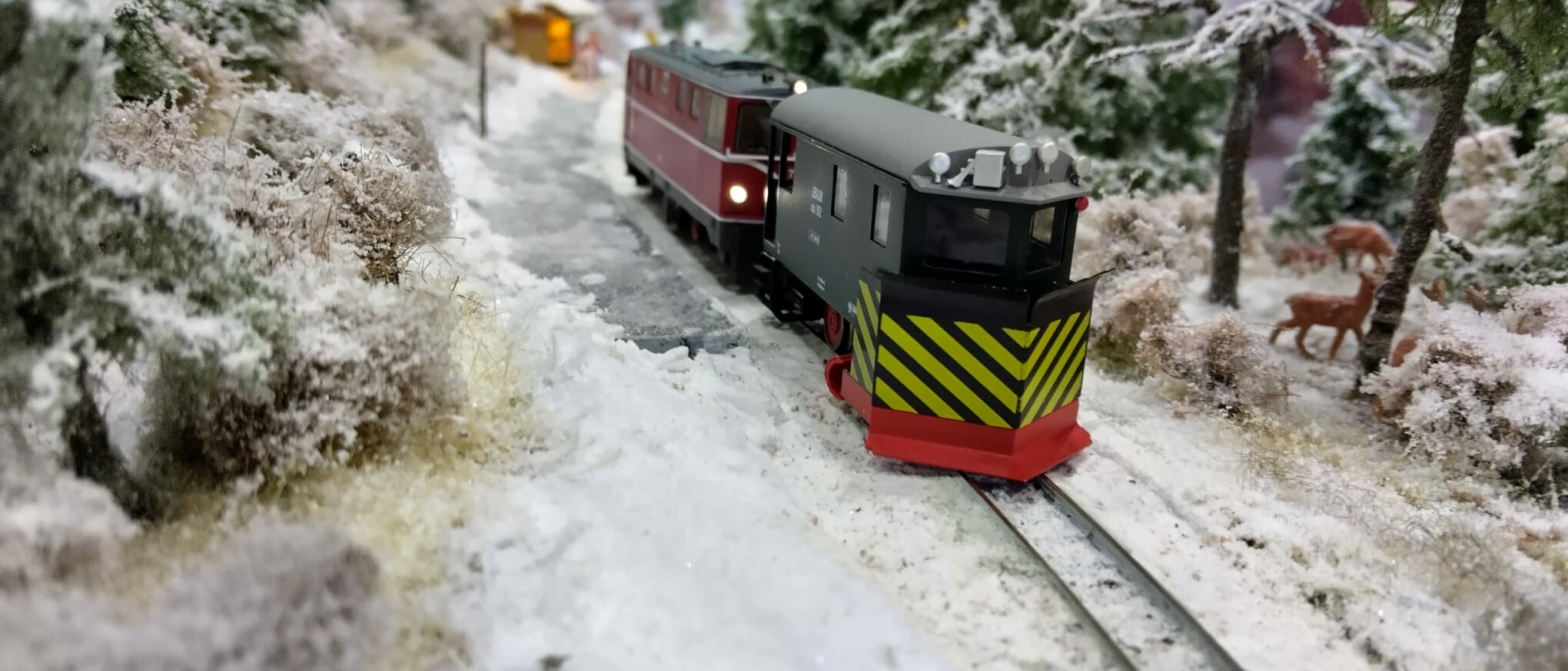 Faszination Modellbau Internationale Leitmesse für Modellbahnen und Modellbau FN2025 Spur N Modellbahn soll Spass machen 01 uai