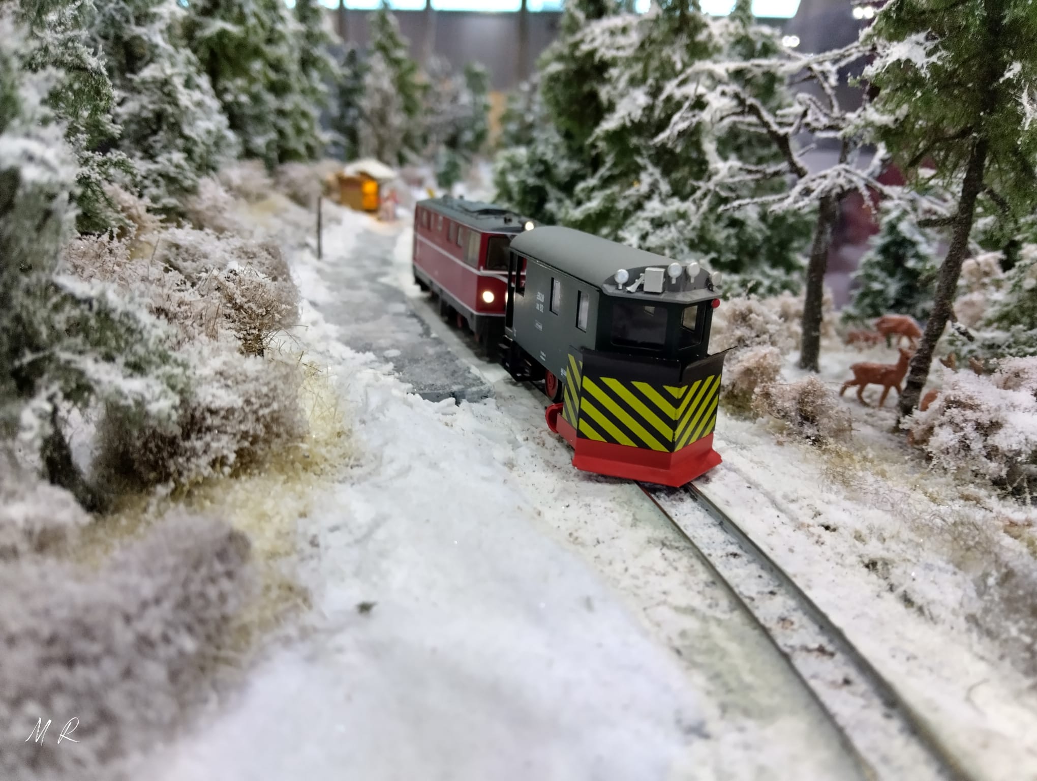 Faszination Modellbau Internationale Leitmesse für Modellbahnen und Modellbau FN2025 Spur N Modellbahn soll Spass machen 01